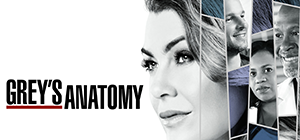 Grey's Anatomy season 15